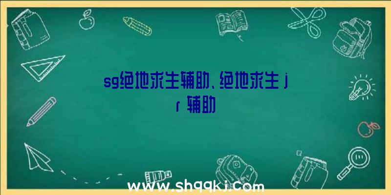 sg绝地求生辅助、绝地求生